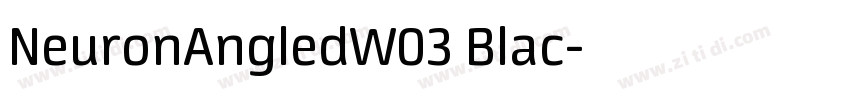 NeuronAngledW03 Blac字体转换